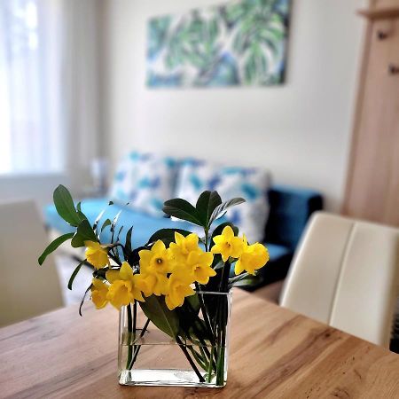 Silver Lodge Apartment 1 אגר מראה חיצוני תמונה