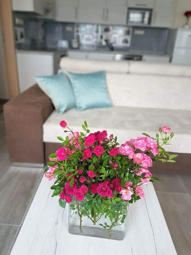 Silver Lodge Apartment 1 אגר מראה חיצוני תמונה
